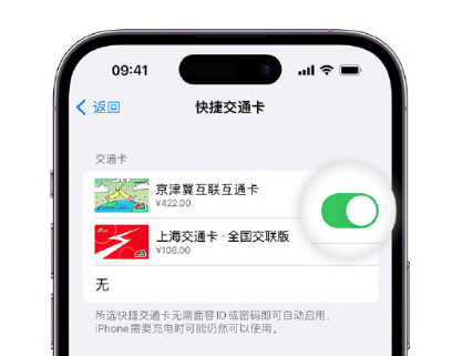 济源apple维修点分享iPhone上更换Apple Pay快捷交通卡手绘卡面 