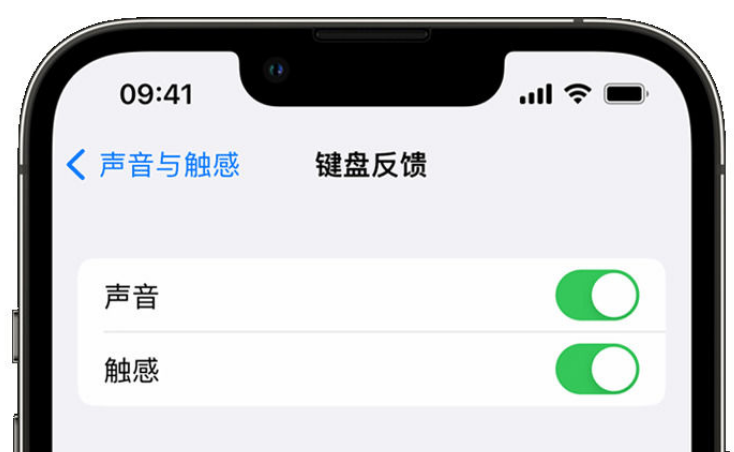 济源苹果手机维修分享iPhone 14触感键盘使用方法 