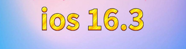 济源苹果服务网点分享苹果iOS16.3升级反馈汇总 