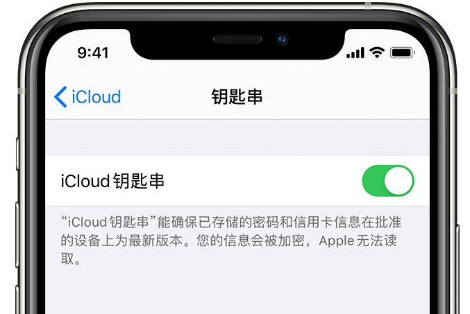 济源苹果手机维修分享在 iPhone 上开启 iCloud 钥匙串之后会储存哪些信息 